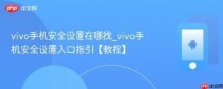 vivo手机安全设置在哪找_vivo手机安全设置入口指引【教程】