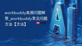 workbuddy高频问题解答_workbuddy常见问题方法【方法】