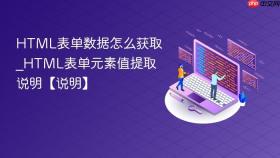 HTML表单数据怎么获取_HTML表单元素值提取说明【说明】