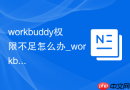 workbuddy权限不足怎么办_workbuddy权限故障技巧【技巧】