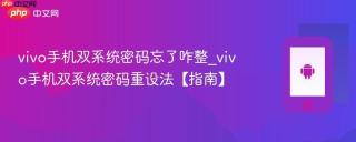 vivo手机双系统密码忘了咋整_vivo手机双系统密码重设法【指南】