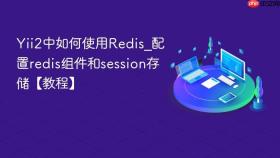 Yii2中如何使用Redis_配置redis组件和session存储【教程】