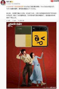 华为Pura X跻身中国折叠屏销量TOP2:累计激活量突破110万台
