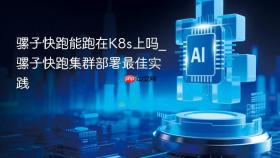 骡子快跑能跑在k8s上吗_骡子快跑集群部署最佳实践