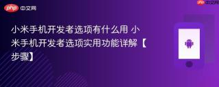 小米手机开发者选项有什么用​ 小米手机开发者选项实用功能详解【步骤】