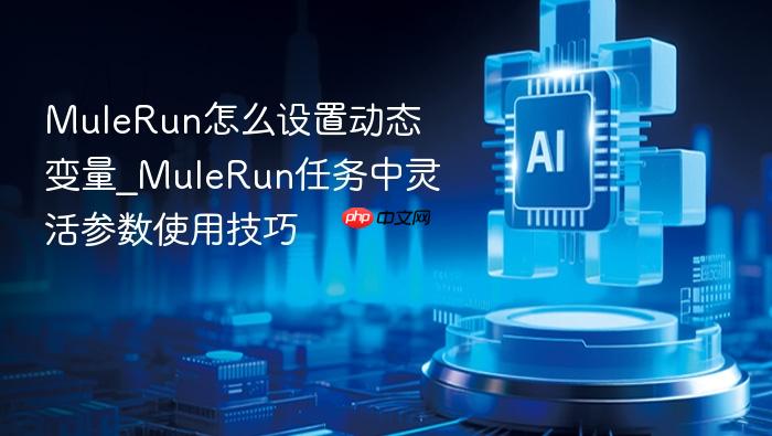 mulerun怎么设置动态变量_mulerun任务中灵活参数使用技巧