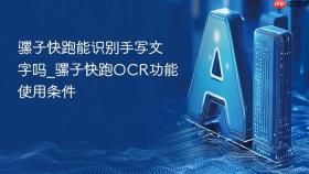骡子快跑能识别手写文字吗_骡子快跑ocr功能使用条件