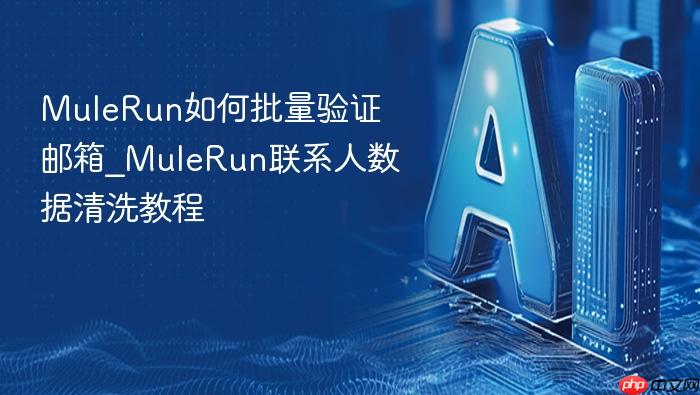 mulerun如何批量验证邮箱_mulerun联系人数据清洗教程