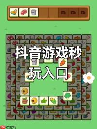 抖音消除百分百小游戏入口_ 抖音高频消除小游戏网页版体验