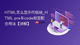 html怎么显示代码块_html pre与code标签配合用法【详解】