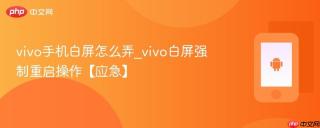 vivo手机白屏怎么弄_vivo白屏强制重启操作【应急】