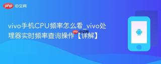 vivo手机cpu频率怎么看_vivo处理器实时频率查询操作【详解】