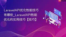 laravelapi优化性能技巧有哪些_laravelapi性能优化的实用技巧【技巧】