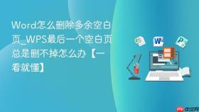 word怎么删除多余空白页_wps最后一个空白页总是删不掉怎么办【一看就懂】