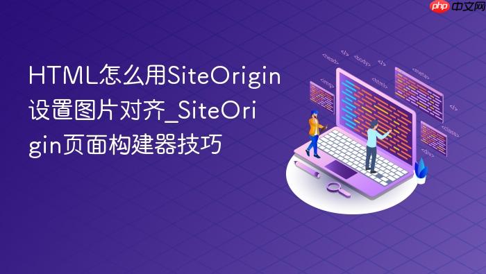 html怎么用siteorigin设置图片对齐_siteorigin页面构建器技巧