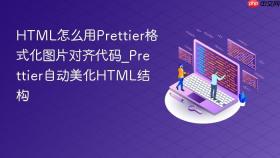html怎么用prettier格式化图片对齐代码_prettier自动美化html结构
