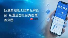 巨量星图能否接非品牌任务_巨量星图任务类型覆盖范围