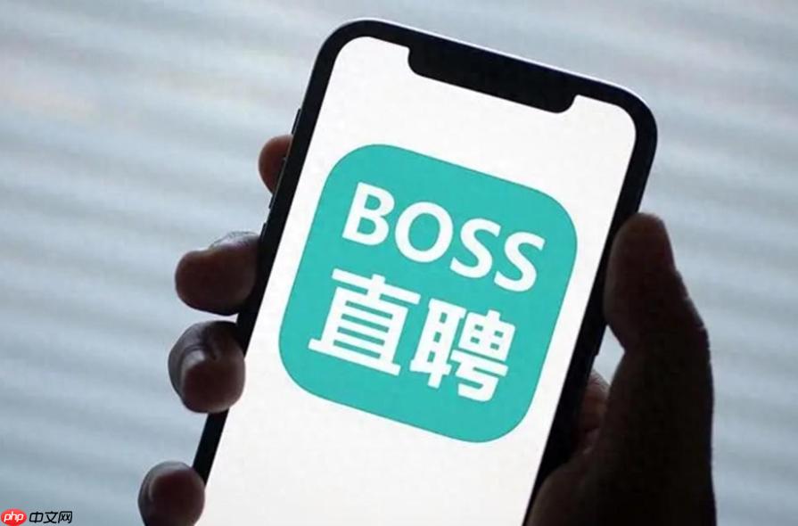 boss筛选条件怎么设置 boss筛选条件配置步骤【指南】