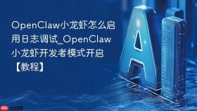 openclaw小龙虾怎么启用日志调试_openclaw小龙虾开发者模式开启【教程】