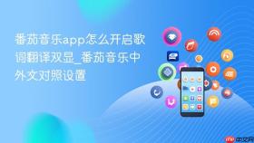 番茄音乐app怎么开启歌词翻译双显_番茄音乐中外文对照设置