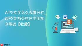 WPS文字怎么设置分栏_WPS文档分栏后中间加分隔线【收藏】