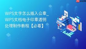 WPS文字怎么插入公章_WPS文档电子印章透明处理制作教程【必看】