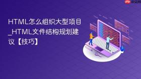 html怎么组织大型项目_html文件结构规划建议【技巧】