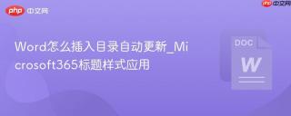 word怎么插入目录自动更新_microsoft365标题样式应用