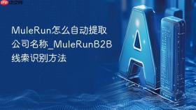 mulerun怎么自动提取公司名称_mulerunb2b线索识别方法