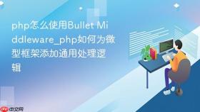 php怎么使用bullet middleware_php如何为微型框架添加通用处理逻辑