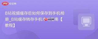 B站视频缓存后如何保存到手机相册_B站缓存转存手机本地指南【教程】