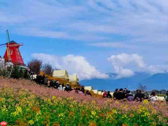 2026最美油菜花海汉中旅游文化节盛大启幕