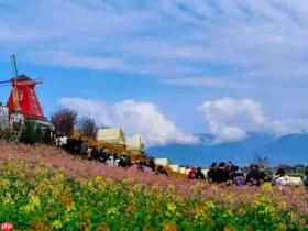 2026最美油菜花海汉中旅游文化节盛大启幕