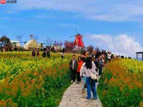 2026最美油菜花海汉中旅游文化节盛大启幕