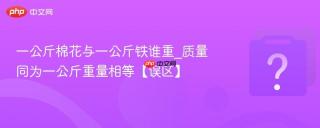 一公斤棉花与一公斤铁谁重_质量同为一公斤重量相等【误区】