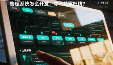 管理系统怎么开发,掌握这几点,不花冤枉钱!