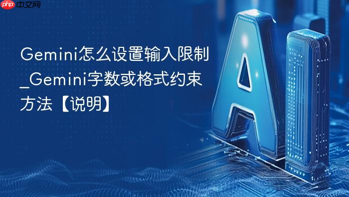 gemini怎么设置输入限制_gemini字数或格式约束方法【说明】