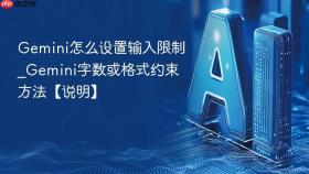 gemini怎么设置输入限制_gemini字数或格式约束方法【说明】