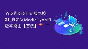 Yii2的RESTful版本控制_自定义MediaType和版本路由【方法】