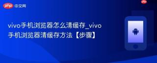 vivo手机浏览器怎么清缓存_vivo手机浏览器清缓存方法【步骤】