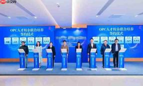首届OPC创新大赛启幕,聚力构建人工智能创新生态