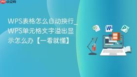 wps表格怎么自动换行_wps单元格文字溢出显示怎么办【一看就懂】