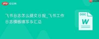飞书日志怎么提交日报_飞书工作日志模板填写与汇总