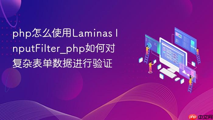 php怎么使用laminas inputfilter_php如何对复杂表单数据进行验证