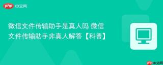 微信文件传输助手是真人吗 微信文件传输助手非真人解答【科普】