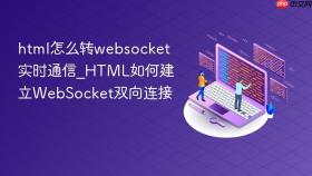 html怎么转websocket实时通信_html如何建立websocket双向连接