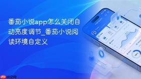 番茄小说app怎么关闭自动亮度调节_番茄小说阅读环境自定义