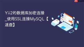 Yii2的数据库加密连接_使用SSL连接MySQL【速查】
