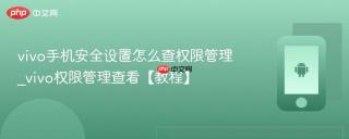 vivo手机安全设置怎么查权限管理_vivo权限管理查看【教程】