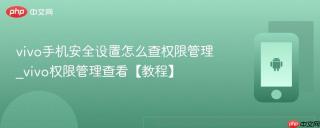vivo手机安全设置怎么查权限管理_vivo权限管理查看【教程】